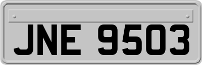 JNE9503