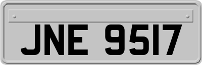 JNE9517
