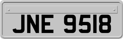 JNE9518