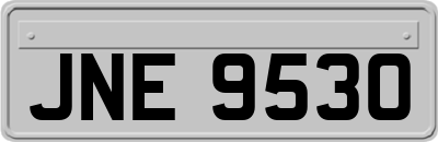 JNE9530