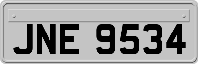 JNE9534