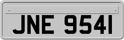 JNE9541