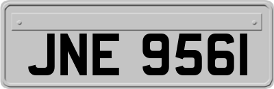 JNE9561