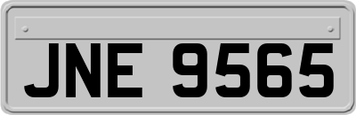 JNE9565