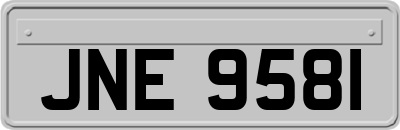 JNE9581