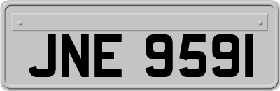 JNE9591