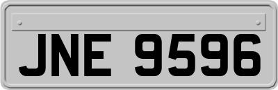 JNE9596