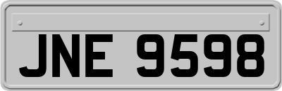 JNE9598