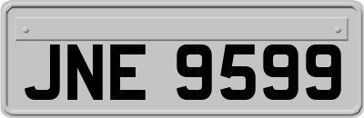 JNE9599