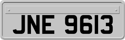 JNE9613