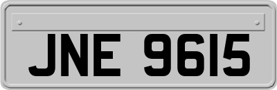 JNE9615