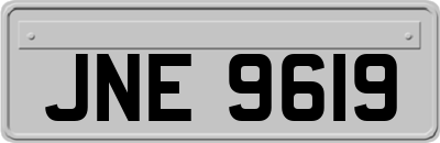 JNE9619