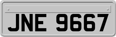 JNE9667