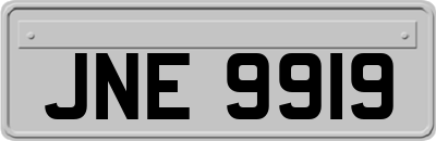 JNE9919