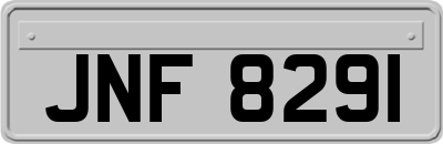 JNF8291