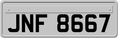 JNF8667