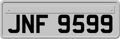 JNF9599