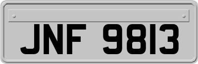 JNF9813