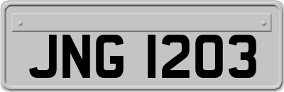 JNG1203