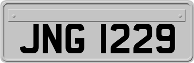 JNG1229