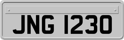 JNG1230