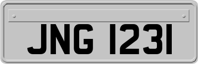 JNG1231