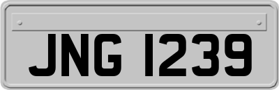JNG1239