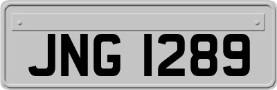 JNG1289