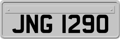 JNG1290
