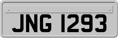 JNG1293
