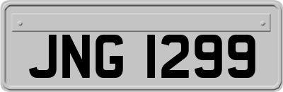 JNG1299