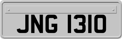 JNG1310