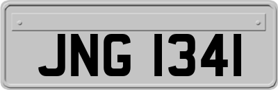 JNG1341