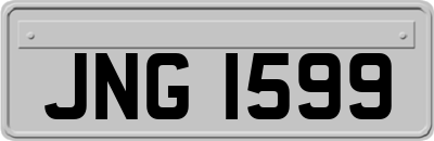 JNG1599