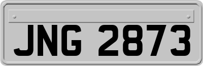 JNG2873