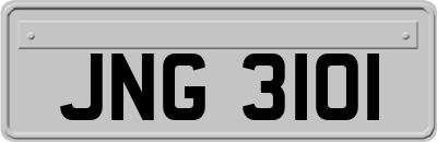JNG3101