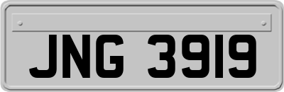 JNG3919