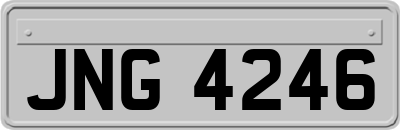 JNG4246