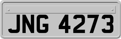 JNG4273