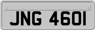 JNG4601