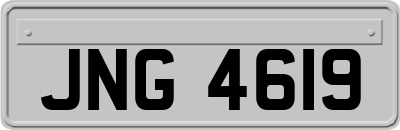 JNG4619