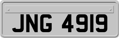 JNG4919