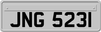 JNG5231