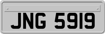 JNG5919