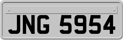 JNG5954