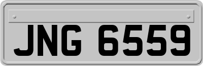 JNG6559