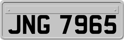 JNG7965