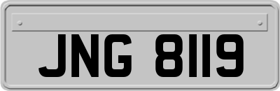 JNG8119