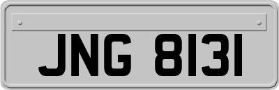 JNG8131