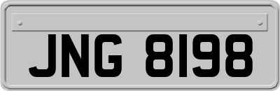 JNG8198